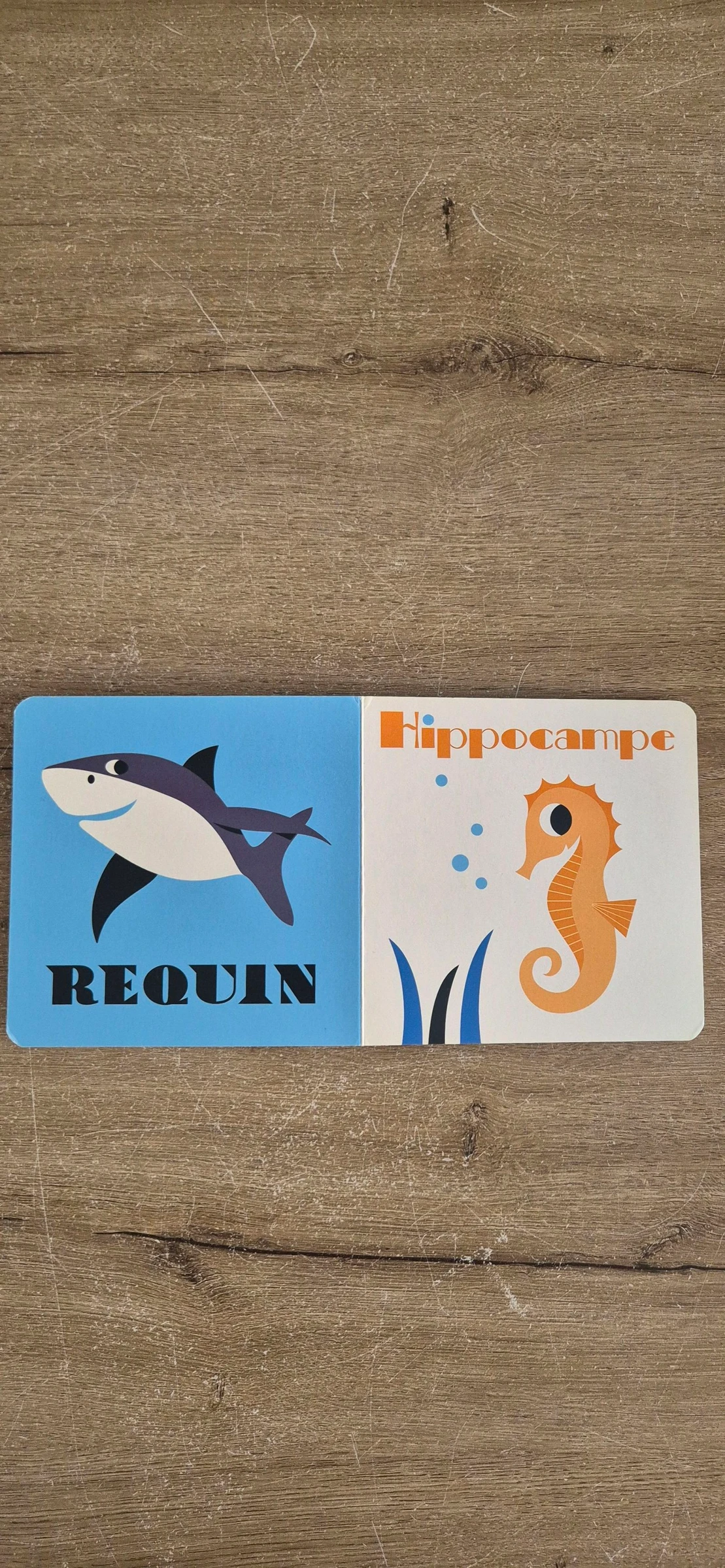 Imagier J'apprends les animaux Banquise et Océan – photo 9